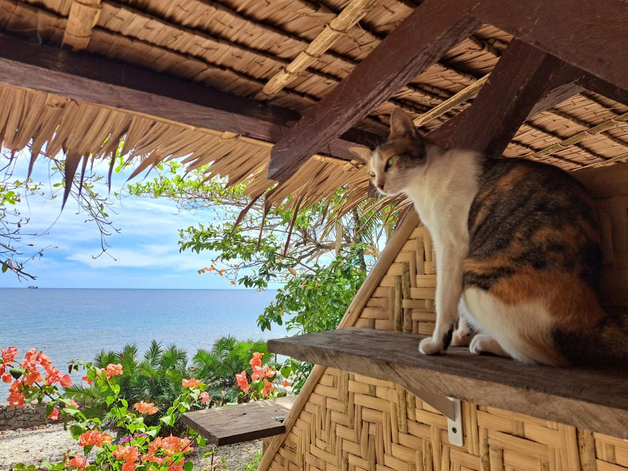 Jagna Paseo Del Mar Seaside Inn מראה חיצוני תמונה