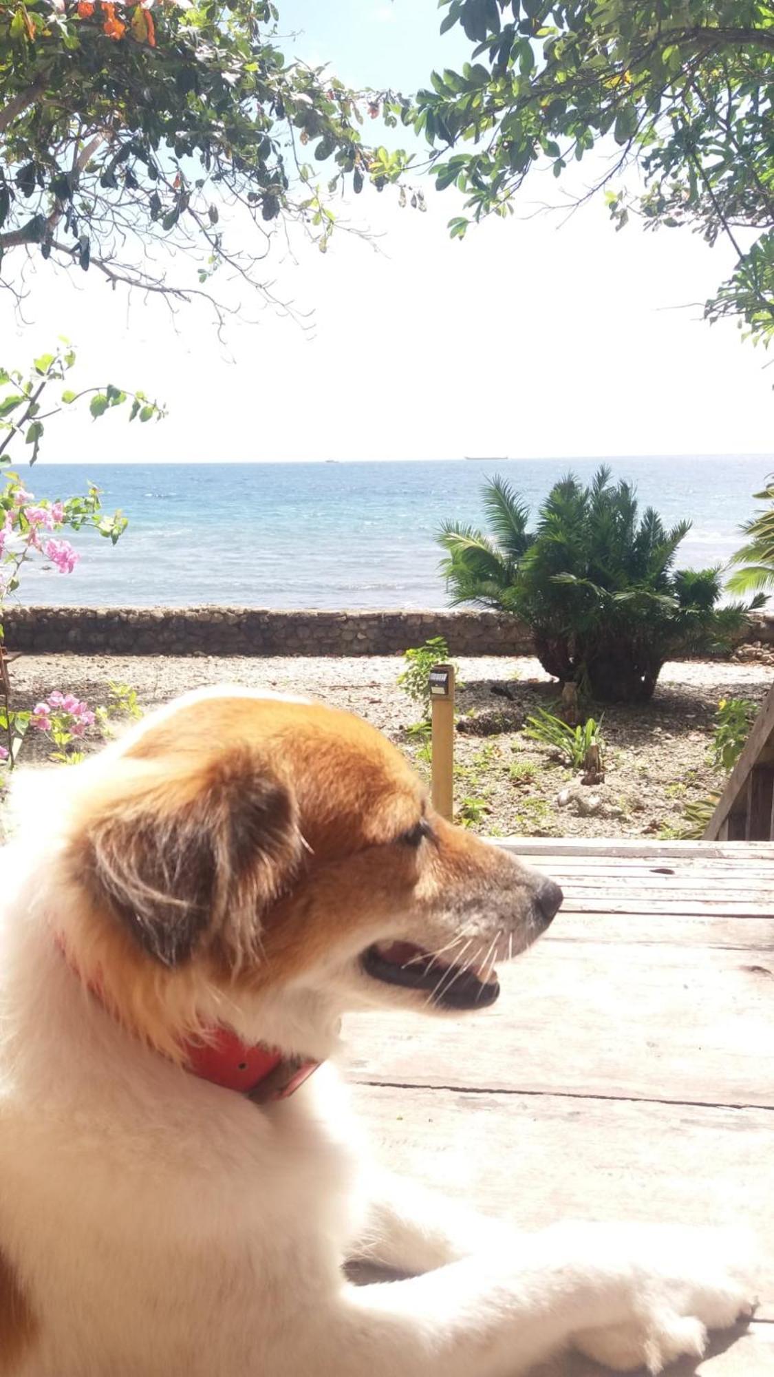 Jagna Paseo Del Mar Seaside Inn מראה חיצוני תמונה